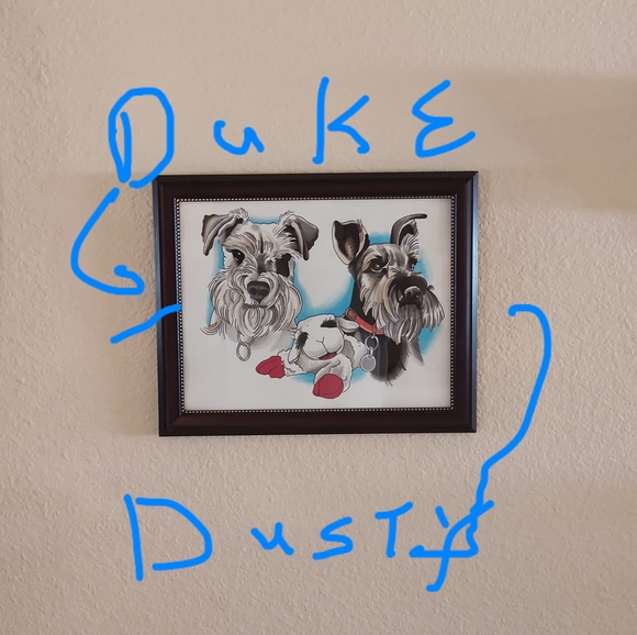 Meet your Posher, Larry - Picture 1 of 1